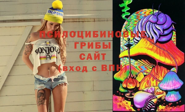 бошки Лабытнанги