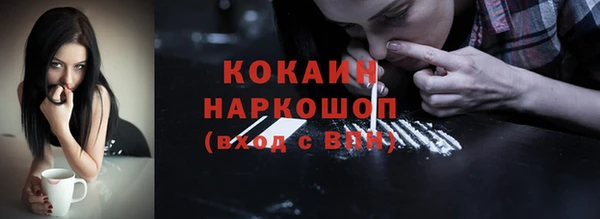 хмурый Ладушкин
