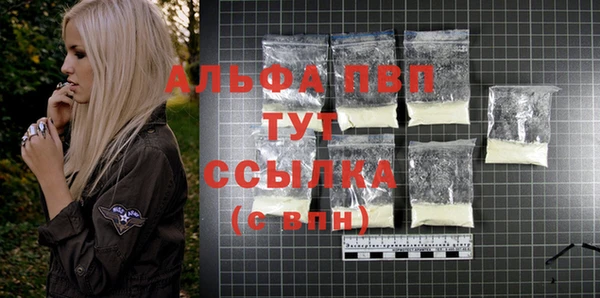 хмурый Ладушкин