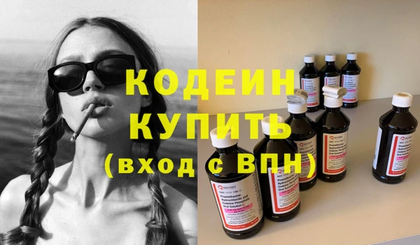 хмурый Ладушкин
