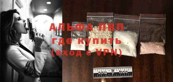 хмурый Ладушкин